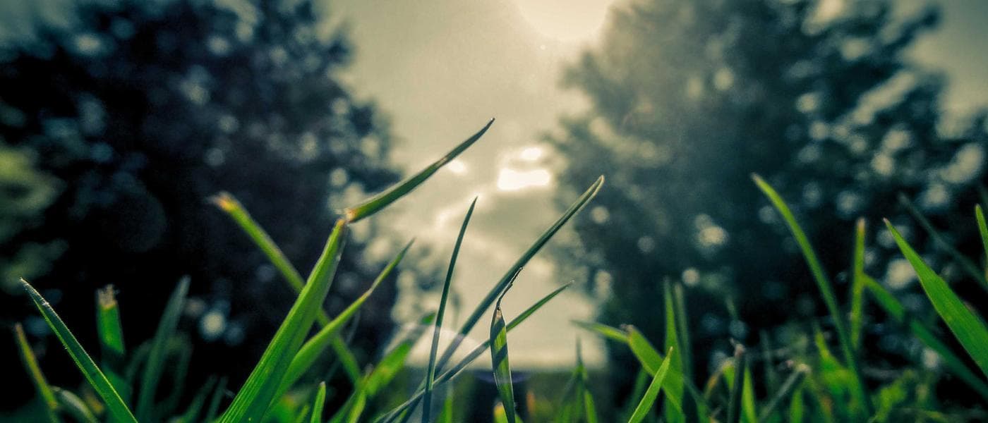 크리에이터 컬렉션